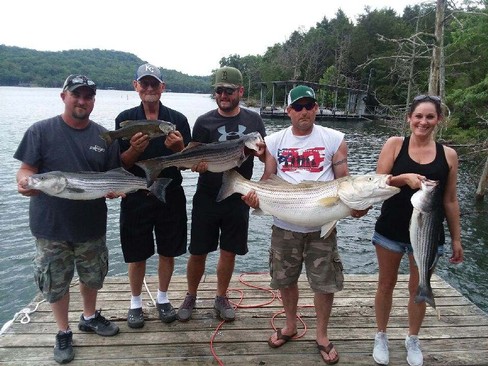 Nice Striped Bass