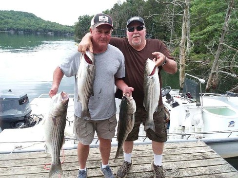 Nice Striped Bass