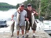(06/17/2019) - Nice Striped Bass