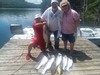 (06/20/2019) - Nice Striped Bass