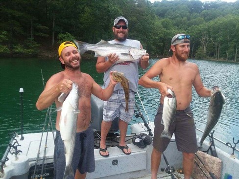Nice Striped Bass