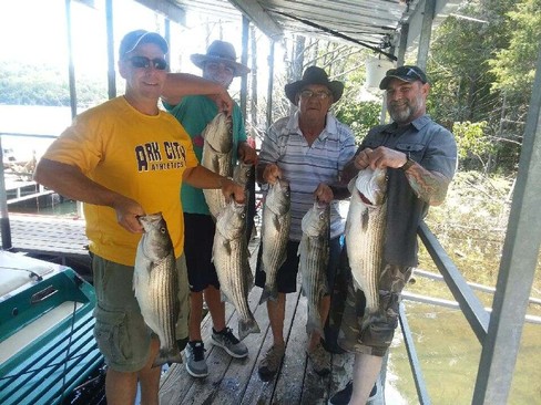 Nice Striped Bass