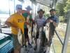 (07/20/2019) - Nice Striped Bass