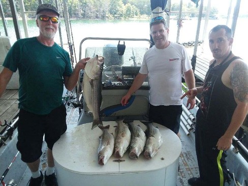 Nice Striped Bass