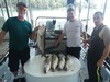 (07/26/2018) - Nice Striped Bass