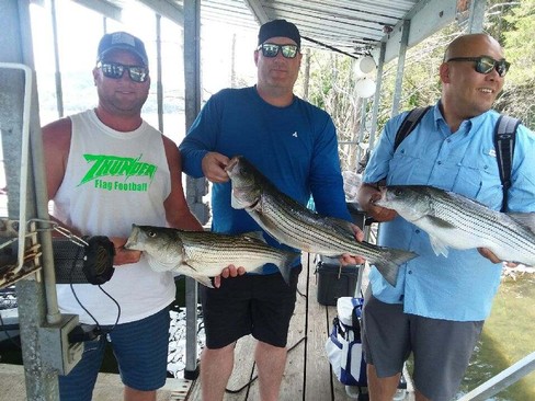 Nice Striped Bass
