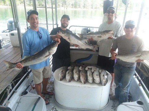 Nice Striped Bass