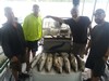 (08/16/2019) - Nice Striped Bass