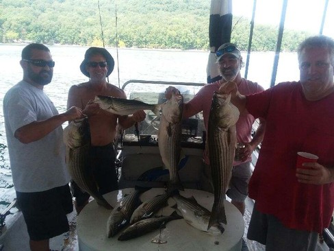 Nice Striped Bass
