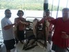 (08/17/2019) - Nice Striped Bass