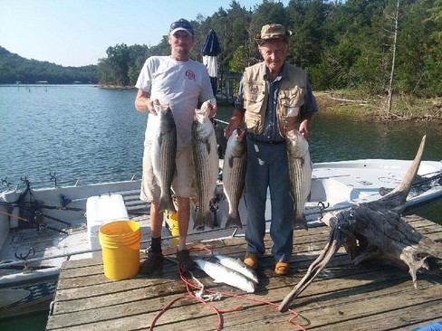 Nice Striped Bass