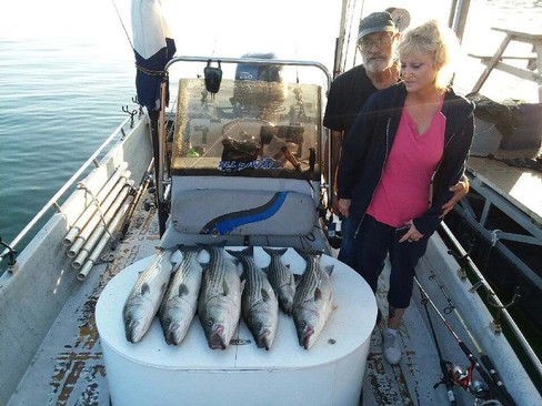 Nice Striped Bass