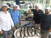 (08/24/2019) - Nice Striped Bass
