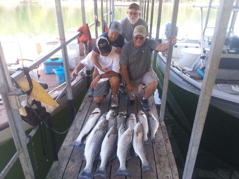 Nice Striped Bass