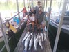 (08/28/2019) - Nice Striped Bass