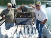 (09/01/2019) - Nice Striped Bass