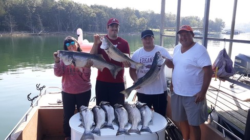 Nice Striped Bass