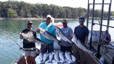Nice Striped Bass