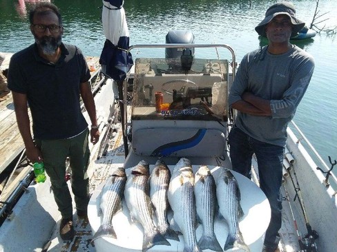 Nice Striped Bass