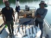 (09/07/2019) - Nice Striped Bass