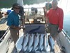 (09/09/2019) - Nice Striped Bass
