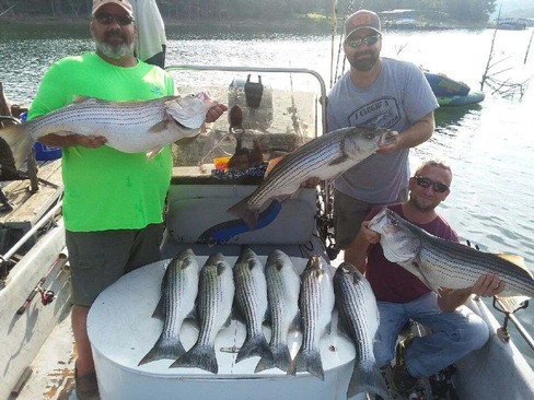 Nice Striped Bass