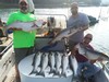 (09/10/2019) - Nice Striped Bass