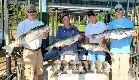 Nice Striped Bass