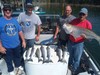 (09/14/2019) - Nice Striped Bass