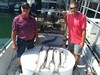 (09/16/2019) - Nice Striped Bass