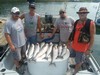 (09/19/2019) - Nice Striped Bass