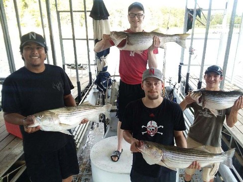 Nice Striped Bass