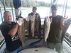 (09/29/2019) - Nice Striped Bass