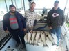 (10/07/2019) - Nice Striped Bass