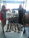 (05/08/2020) - Nice Striped Bass