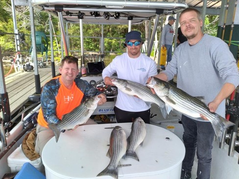 Nice Striped Bass