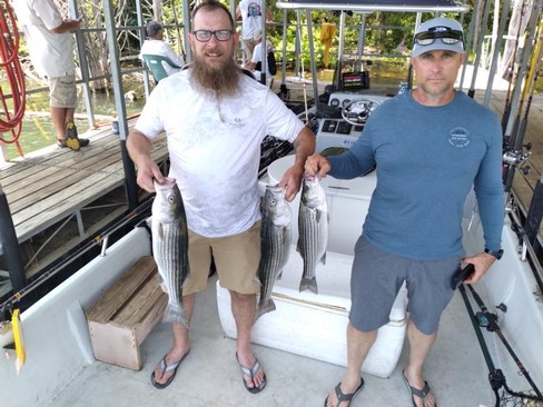 Nice Striped Bass