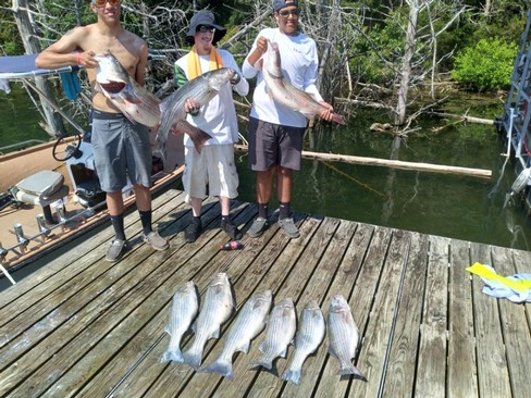 Nice Striped Bass