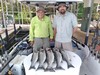 (06/19/2021) - Nice Striped Bass