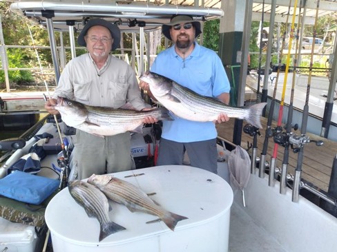 Nice Striped Bass
