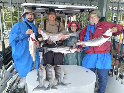 Nice Striped Bass