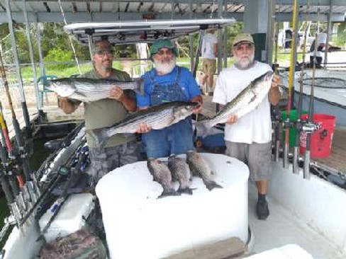 Nice Striped Bass
