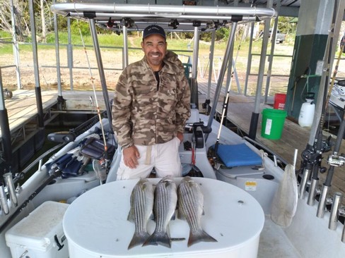 Nice Striped Bass