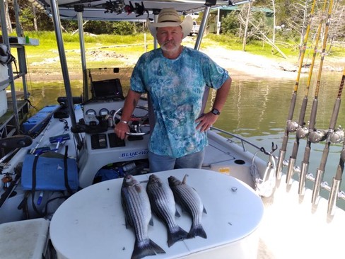 Nice Striped Bass