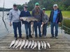 (05/22/2026) - Nice Striped Bass