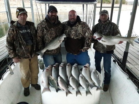 Nice Striped Bass