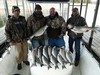(02/12/2017) - Nice Striped Bass