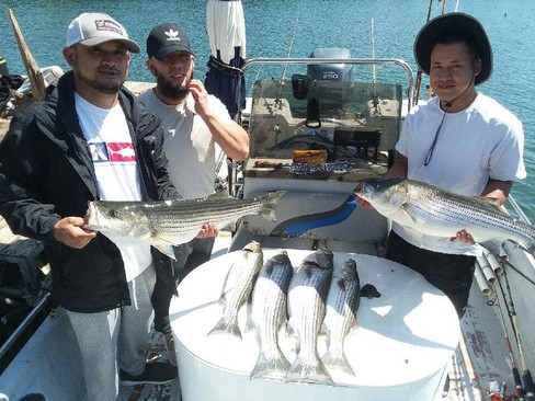 Nice Striped Bass