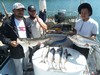 (08/31/2019) - Nice Striped Bass