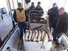 (10/12/2019) - Nice Striped Bass